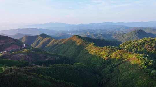 河源龙王嶂茶园日出航拍视频4K