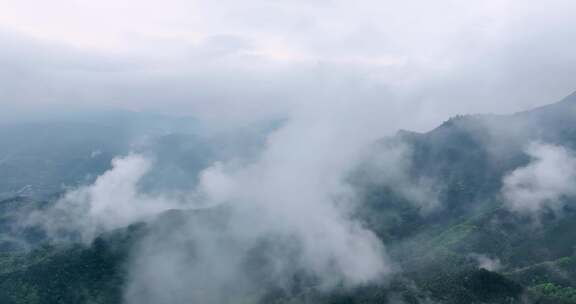 广西山区竹林竹海竹山云海翻滚航拍