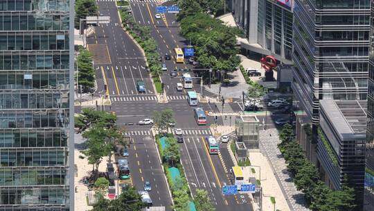 深圳市福华路白天道路车流