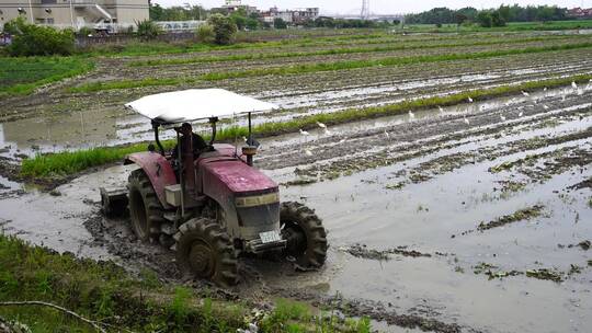 春耕耕田视频素材模板下载