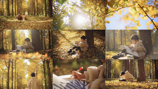 秋日树林小女孩写生高清在线视频素材下载