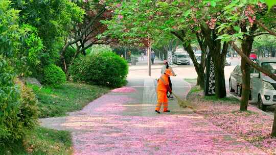 樱花大道