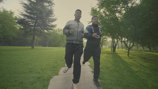 公园晨跑   晨跑的人  跑步  4K