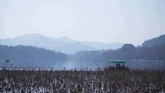 西湖边的风景