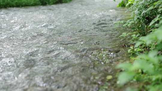 合集小溪流水潺潺，周边绿植环绕的自然景象