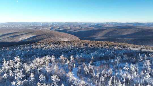 雪后山林的壮丽景象