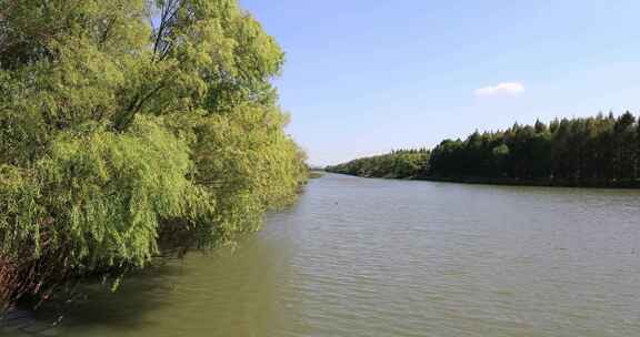 唯美苏州太湖湿地公园自然风光