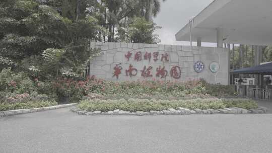 【4K50帧】中国科学院华南植物园大门口视频素材模板下载