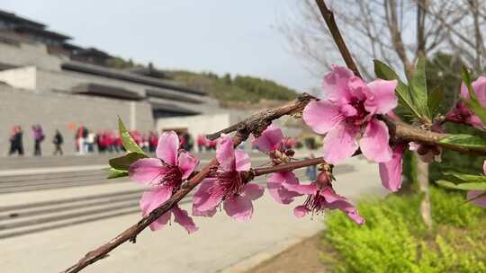 济宁曲阜尼山圣境，孔子儒家文化景区