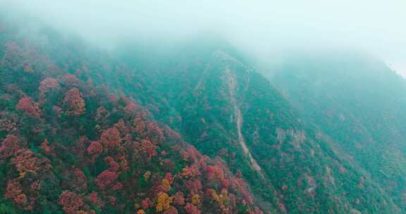 五彩斑斓的高山