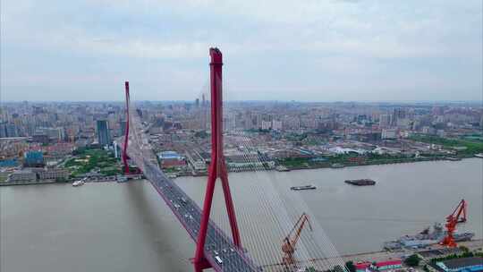 上海市浦东新区杨浦大桥城市车流船只船舶夜