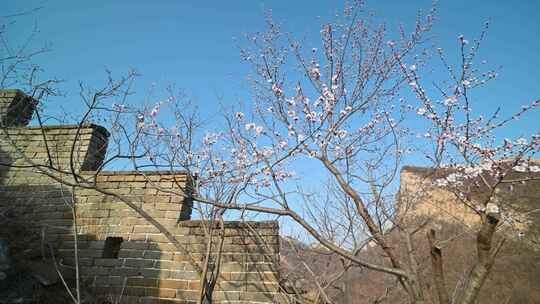 北京春天明长城遗址城墙早晨风光