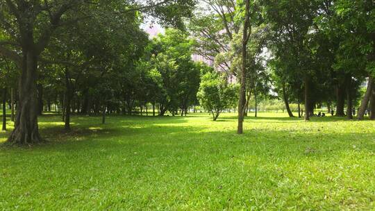 莲花山公园 莲花湖 漾日湖 莲花村