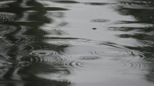 烟雨江南雨滴水面