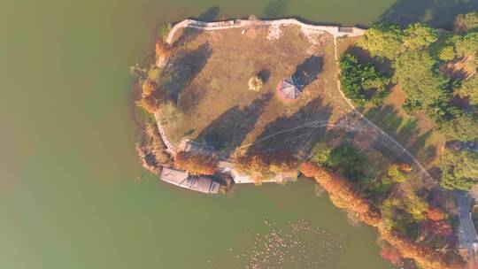 湖北武汉东湖风景区秋季风光