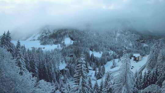 雪覆山林中的小屋景观