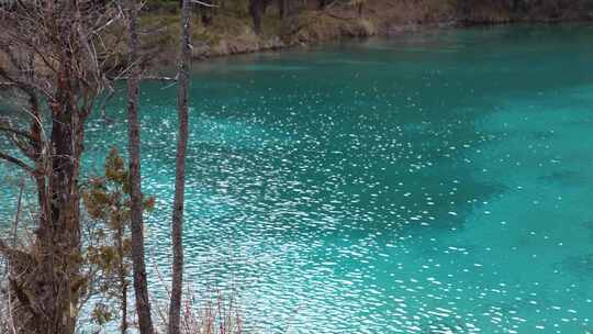 四川阿坝州九寨沟冬日山水