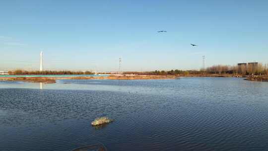 石家庄地标 复兴大街 滹沱河 湿地