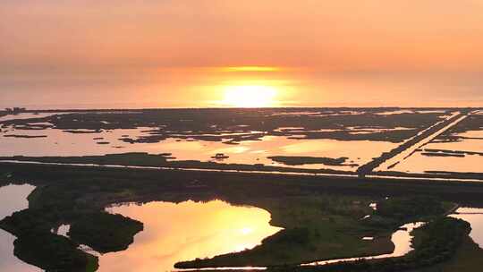 金色日出上海崇明岛东滩湿地全景