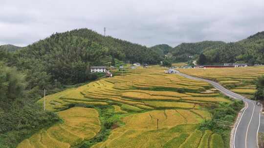 赣州崇义上堡梯田