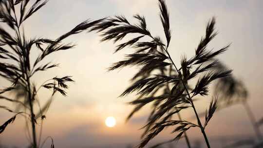 夕阳 落日 唯美夕阳