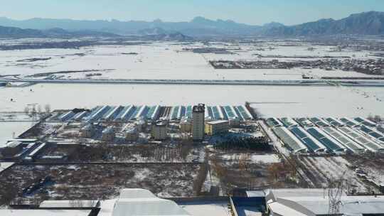 航拍雪景 唯美冬日空镜 立冬 冬至节气