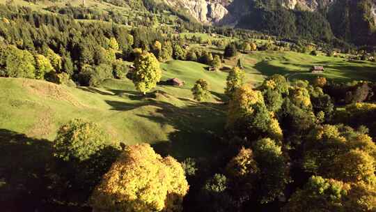 空中无人机镜头在瑞士阿尔卑斯山的高山草地上推进，秋天的颜色