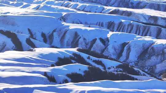 4k航拍冬季雪后祁连山草原