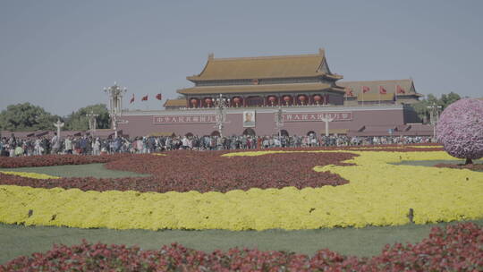 天安门红旗飘扬 国庆 祝福祖国