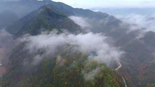 秦岭 云海 秋色 山脉