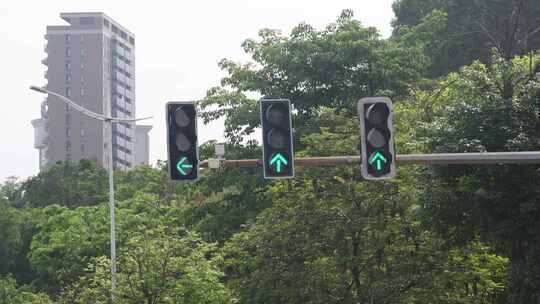 交通信号灯变换