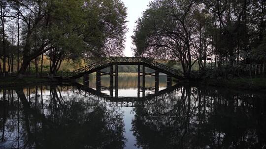 杭州西湖十景茅家埠水乡风景