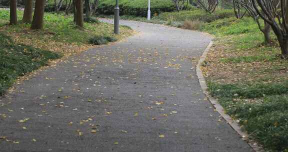 秋天苏州虎丘湿地公园生态风光