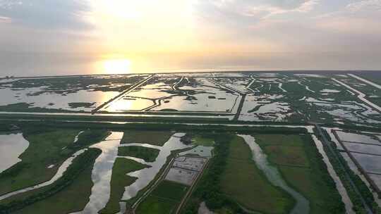 金色日出上海崇明岛东滩湿地全景