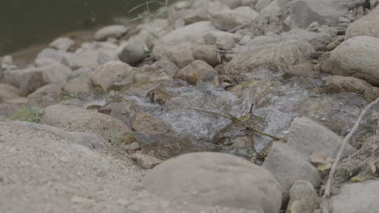 小溪流水