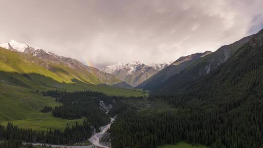 航拍森林丛林雪山风景