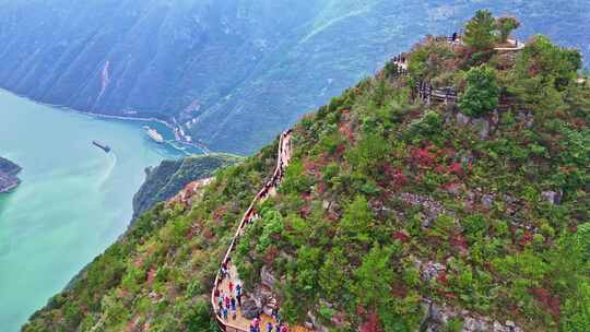 三峡红叶