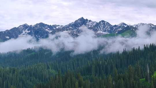 航拍新疆雪山森林风光