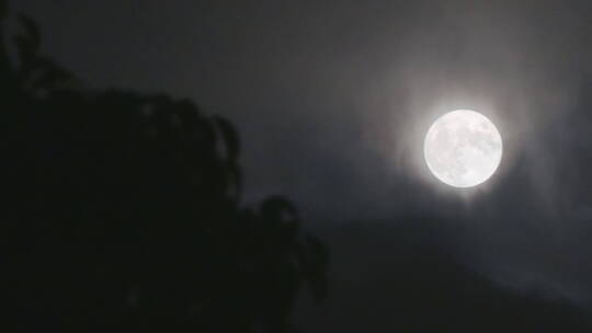 满月月亮中秋节