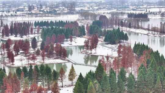 航拍湿地公园雪景树林湖