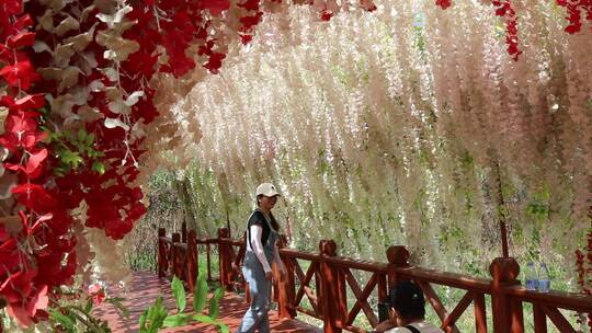 乡村建设花海步行道