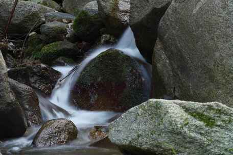 小溪延时摄像森林流水绿色自然
