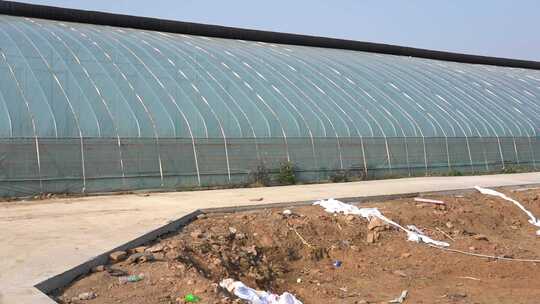 大棚 蔬菜大棚 元氏 冬季
