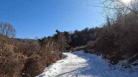 雪后的农村道路