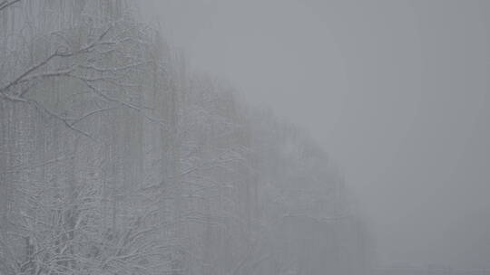 冬天雪景 雪景意境