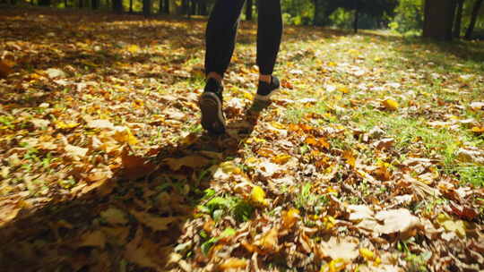 运动员的腿沿着黄叶覆盖的秋季公园奔跑