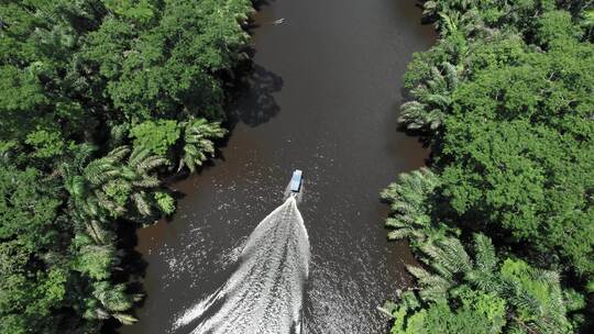 带屋顶的摩托艇在哥斯达黎加热带丛林河上巡航。