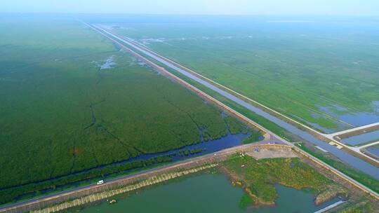 航拍上海横沙岛东滩湿地