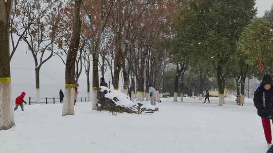 手机4K摄宜昌伍家岗滨江大雪纷飞景2