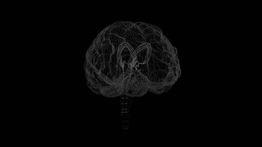 医学 大脑 脑科学 三维 脑ct1 模型